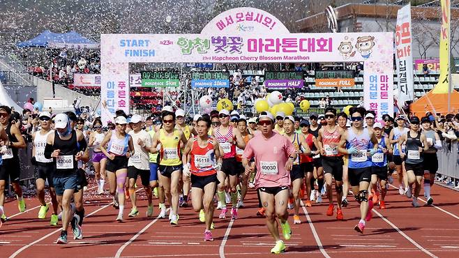 지난 3월 말 진행된 합천벚꽃마라톤대회에는 역대 최다 인원인 1만3102명이 출전해 성황리에 마무리됐다.  합천군