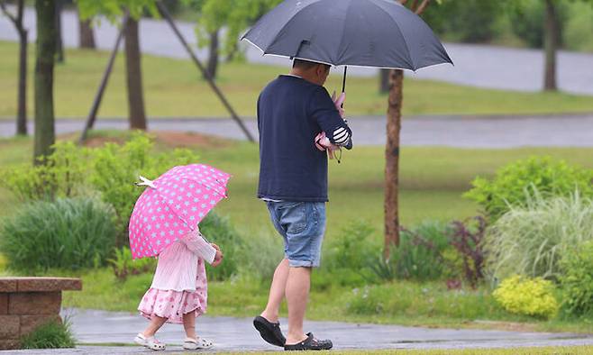 비가 내리는 경기도 과천시 서울대공원에서 한 아이가 우산을 쓰고 아빠를 쫓아가고 있다. 연합뉴스