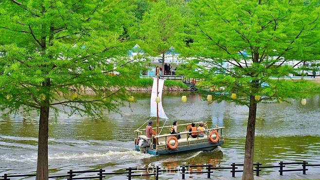 담양대나무축제/사진-담양군