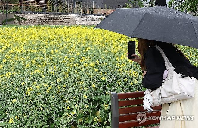 '우산 쓰고 찰칵' [연합뉴스 자료사진]