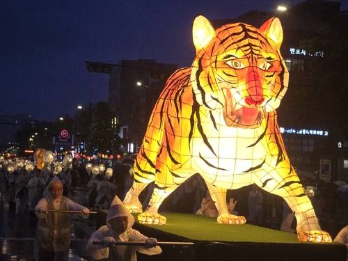 호랑이 모양 연등 (서울=연합뉴스) 이세원 기자 = 대한불교조계종 등 불교계 종단들로 구성된 연등회보존위원회가 불기 2568(2024)년 부처님오신날(5월 15일)을 나흘 앞둔 11일 오후 서울 종로에서 연등 행렬을 개최하는 가운데 호랑이 모양의 장엄등이 이동하고 있다. 2024.5.11