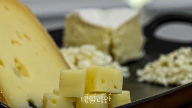 농촌진흥청에서 개발한 자연산 치즈. ⓒ데일리안 배군득 기자