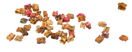 중앙아시아 유목민들이 가축의 뼈를 이용해 만든 놀이용 말 ‘추코’. 국립아시아문화전당 제공