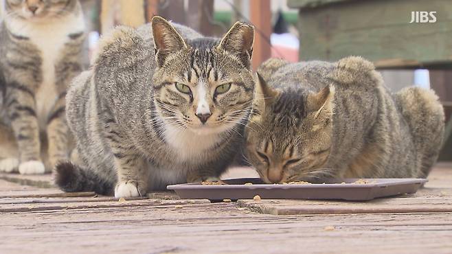사진은 기사와 관련 없음
