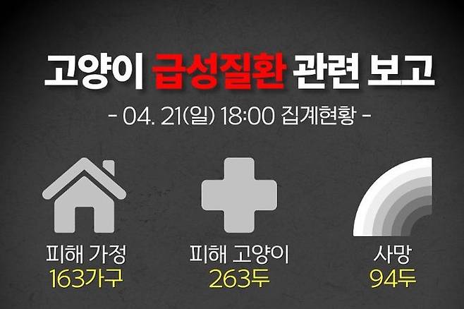 [서울=뉴시스] 동물보호단체 라이프가 21일 인스타그램을 통해 “전국에서 ‘고양이 급성질환’으로 94마리가 폐사했다”고 밝혔다. 사진은 라이프가 게시한 고양이 급성질환 전국 집계 현황. (사진=인스타그램 갈무리) 2024.04.22. *재판매 및 DB 금지