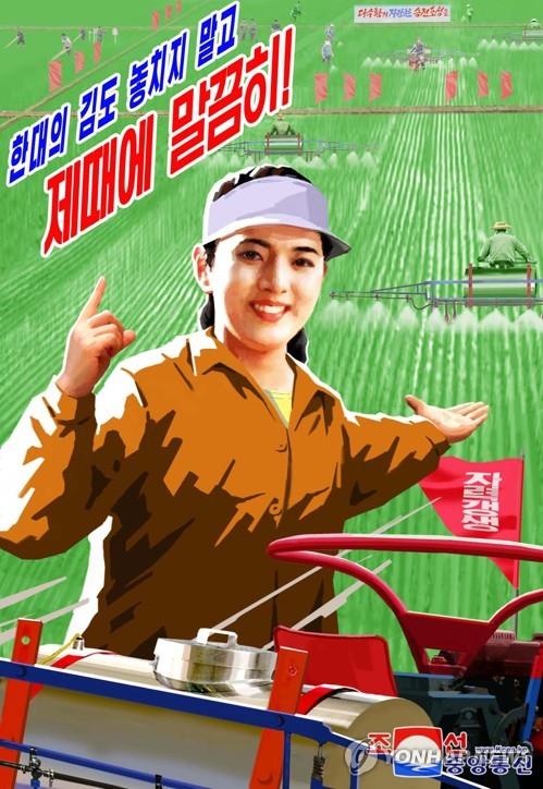 북한의 농업 선전화 [연합뉴스 자료사진]