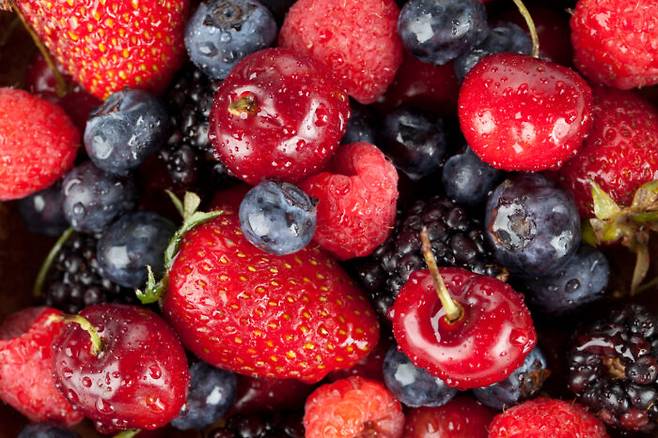 [사진=클립아트코리아]