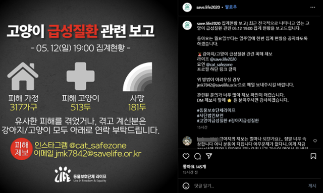 동물보호단체 라이프와 묘연에 따르면 12일 기준 비슷한 증상을 보여 피해 신고가 접수된 고양이는 500마리에 육박하며, 이 중 181마리가 사망했다. 라이프 인스타그램 캡처