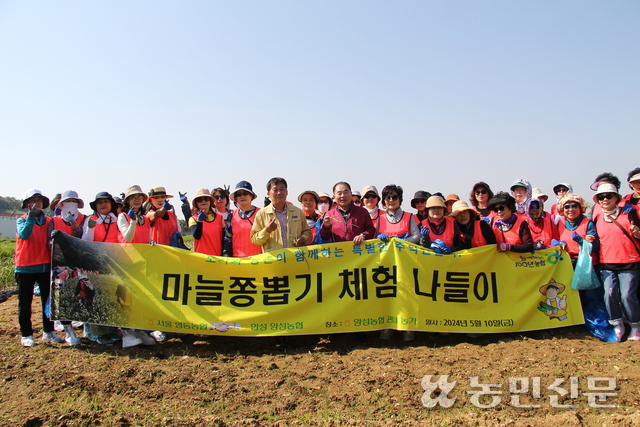 이종호 서울 영동농협 조합장(앞줄 오른쪽서 여덟번째)과 봉사자들이 양성면 마늘밭에서 마늘종 뽑기에 나섰다.