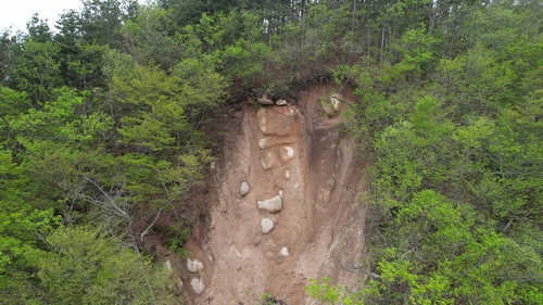 경주 토함산 석굴암 위쪽에 산사태가 발생한 모습. [녹색연합 제공. 재판매 및 DB 금지]