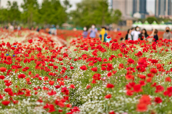 태화강 국가정원 봄꽃축제
