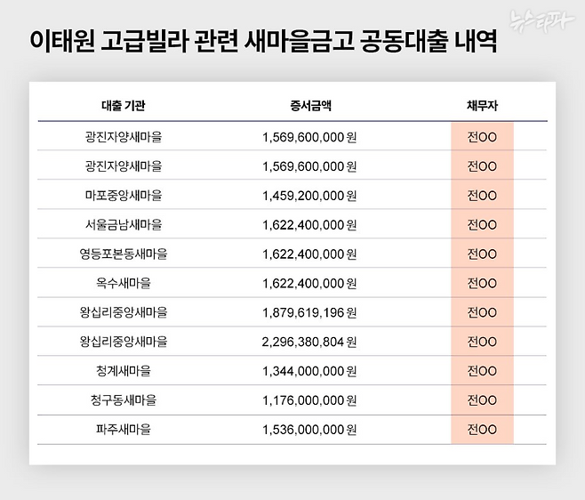 ▲ 이태원 고급빌라 관련 새마을금고 9개 지점의 공동대출 내역. 채무자 전OO는 김ㅇㅇ의 가족이다.