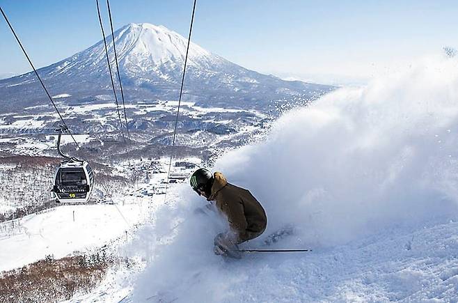 일본 홋카이도 니세코초에서 한 관광객이 스키를 타고 있는 모습/니세코유나이티드
