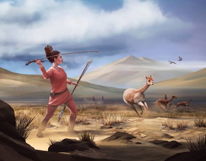 약 9000년 전 안데스산맥의 여성 사냥꾼이 동물을 사냥하는 모습을 일러스트로 복원했다. Matthew Verdolivo/UC Davis IET Academic Technology Services 제공