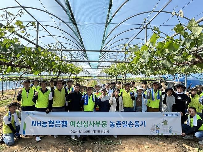 NH농협은행 여신심사부문 김길수 부행장과 임직원들이 일손돕기에 앞서 기념사진 촬영을 하고 있다.