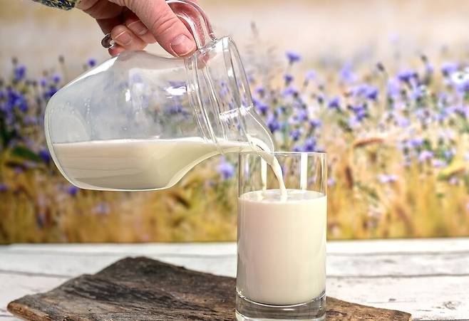 스위스 과학자들이 우유의 유청 단백질을 이용한 젤 형태의 숙취해소제를 개발했다. 픽사베이