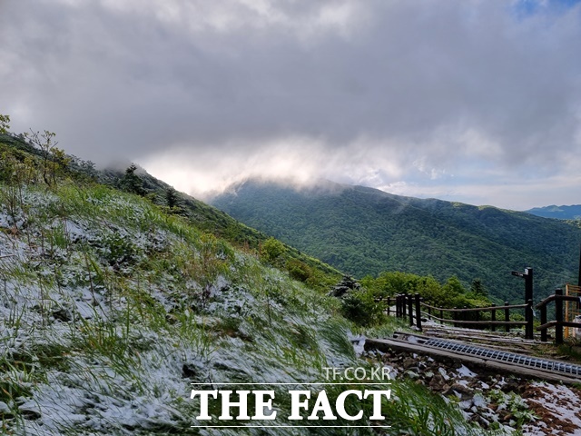지리산국립공원 5월에 내린 눈(벽소령)/지리산국립공원경남사무소