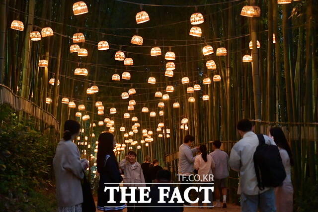 지난 15일 제23회 담양대나무축제가 열린 죽녹원 대나무밭에 대바구니로 만든 전등이 설치돼 있다./담양군