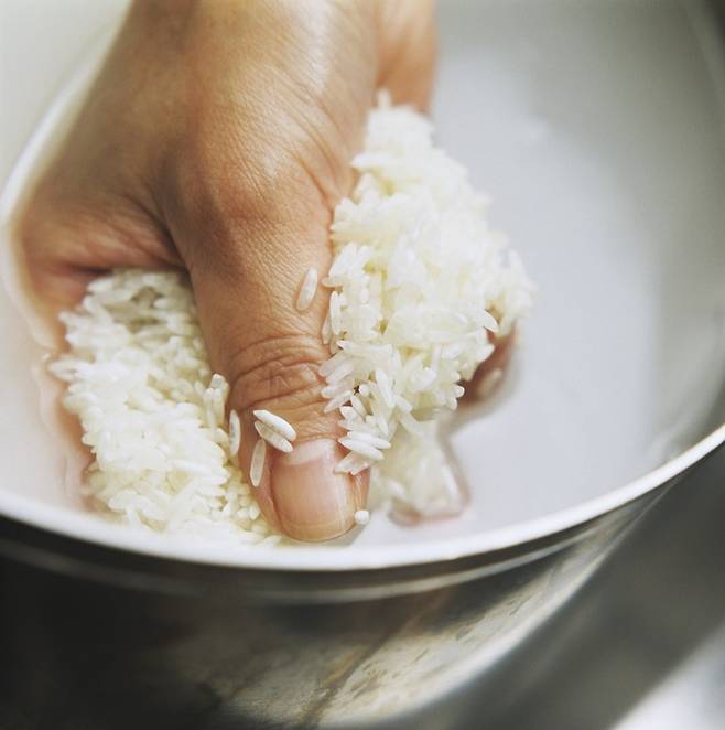 곰팡이가 핀 쌀은 씻을 때 검은색이나 푸른색 물이 나온다./사진=클립아트코리아