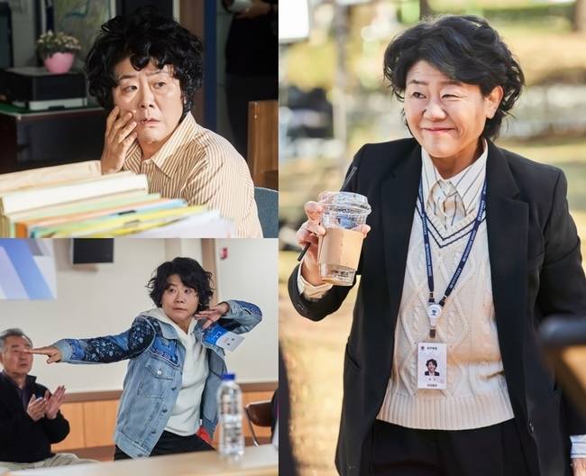 삼화네트웍스, SLL 제공