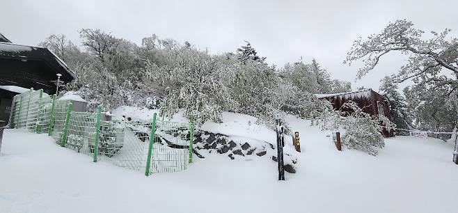 눈내린 설악산 소청대피소 모습. 설악산국립공원사무소 제공