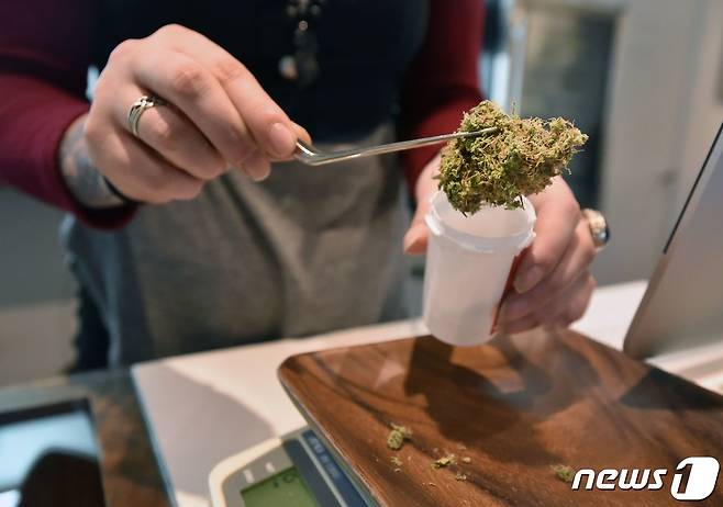 미 오리건 주 포틀랜드 소재 마리화나 조제소 파르마의 작업 모습. ⓒ AFP=뉴스1 ⓒ News1 최서윤 기자