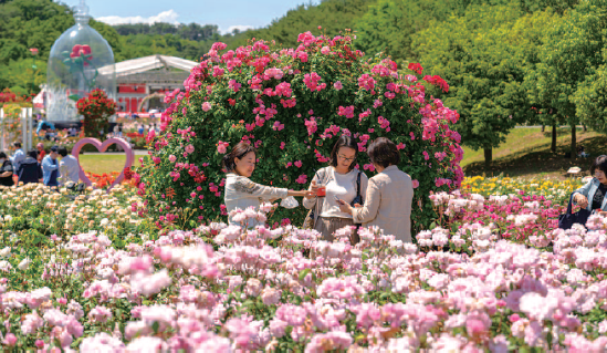 오는 22일부터 '16회 울산대공원 장미축제'가 열린다.(사진은 지난해 축제 현장)