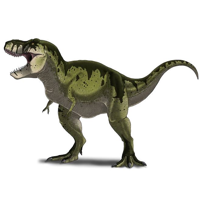 이준성 작가가 그린 공룡도감에 삽입된 팔레오아트./이준성