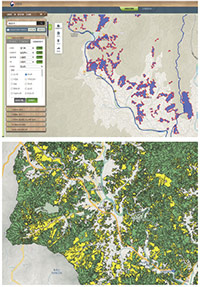 산림공간정보서비스(위)와 GIS 프로그램(아래)으로 찾아본 잣나무 숲.