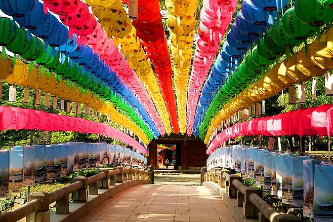 마곡사 연등 터널