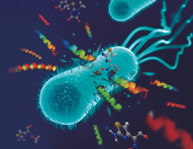 슈퍼박테리아에 적용 가능한 신규 펩타이드 신약 설계 이미지.(조선대 제공)2024.5.20./뉴스1