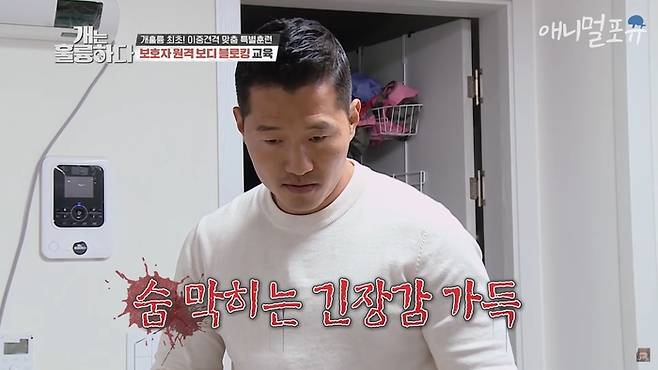 KBS 2TV <개는 훌륭하다>에 출연하는 강형욱 보듬컴퍼니 대표. 유튜브 ‘애니멀포유’ 화면 갈무리