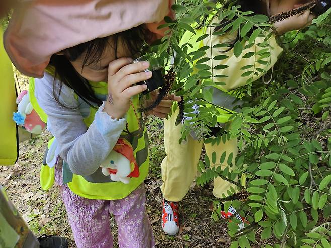 미사경정공원 숲 체험프로그램에 참가한 어린이가 식물을 관찰하고 있다. 사진제공=건전홍보팀