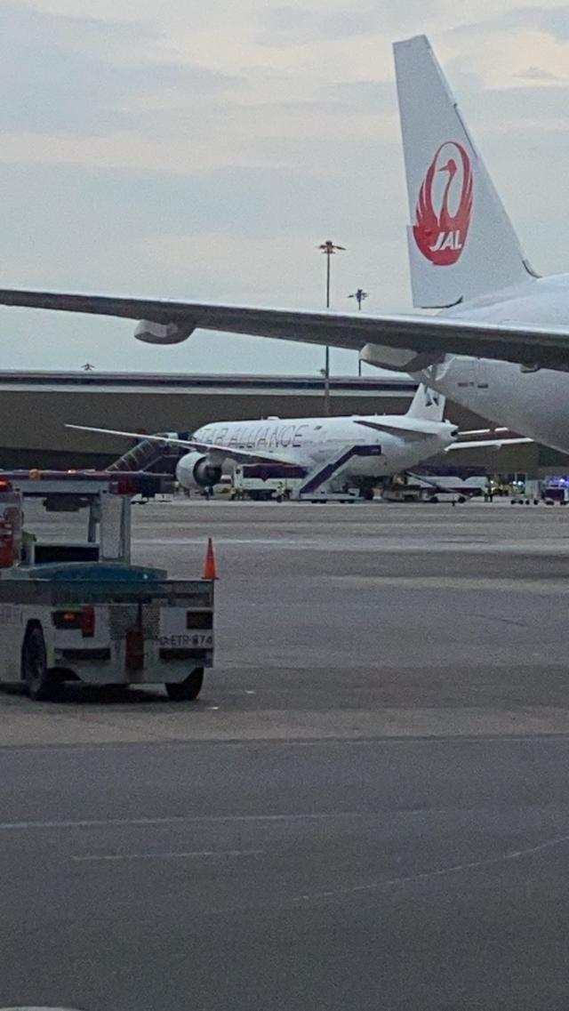21일 태국 방콕 수완나품 국제공항에 싱가포르항공 여객기(왼쪽)가 난기류로 비상착륙해 있다. 방콕=로이터 연합뉴스