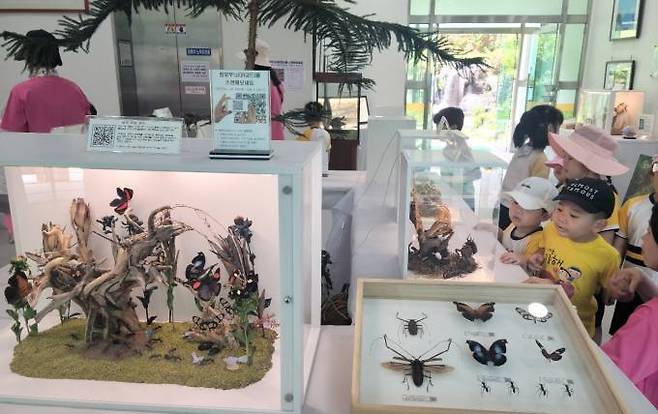 지난해 6월 열린 대청호자연생태관 세계 희귀곤충 표본 특별전 모습. 대전동구