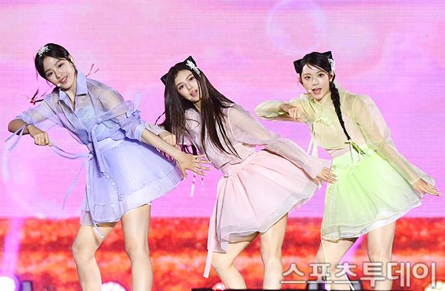 스포츠투데이 포토