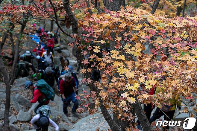 22일 서울 북한산 국립공원에 단풍이 물든 가운데 등산객들이 등산을 하고 있다. 2023.10.22/뉴스1 ⓒ News1 이승배 기자