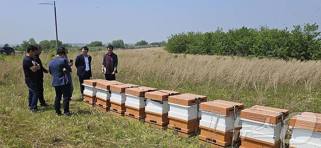 한국농어촌공사 새만금사업단이 새만금 농생명용지와 생태환경용지에 꿀벌 서식환경 마련을 위해 벌통을 설치한다.(새만금사업단 제공) 2024.5.22/뉴스1