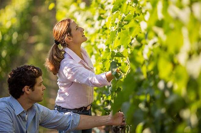 비비아나와 제프 피소니. 홈페이지