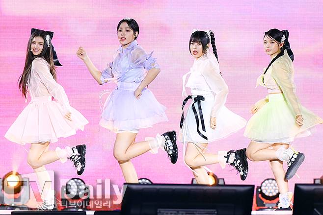 티브이데일리 포토