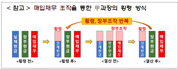 [금융감독원 제공]