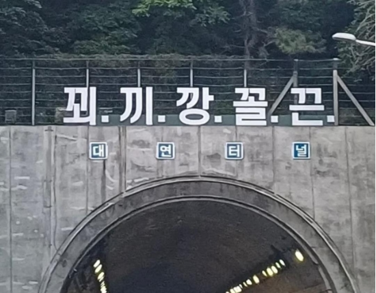 부산 도시고속도로 대연터널 위에 ‘꾀·끼·깡·꼴·끈’ 문구가 내걸려 있다.(출처=온라인 커뮤니티 캡처)