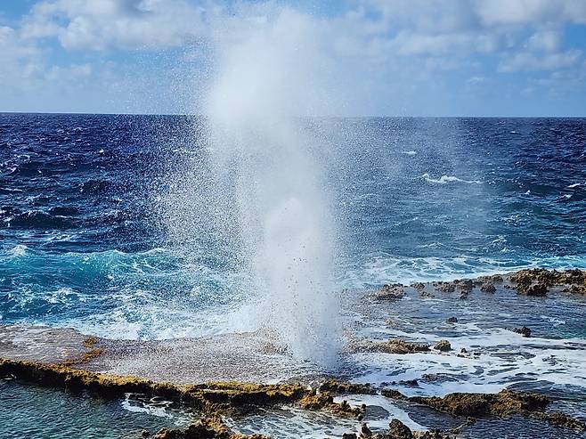 북동부에 있는 블로홀