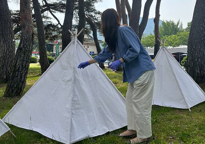 보은군 제공