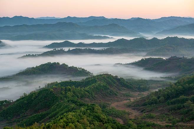 5사단 GOP에서 바라본 비무장지대(DMZ) 모습. 낮은 고지와 능선, 골짜기로 구성된 DMZ는 6·25 전쟁 당시 격전지였다. 육군 제공