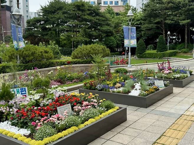 중구청 앞 '도심 속 작은 정원' 모습. 중구 제공.