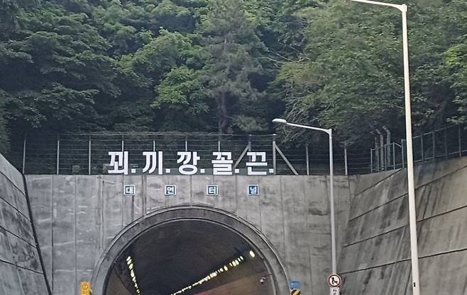 [서울=뉴시스] 부산 도시고속도로 대연터널 위에 '꾀끼깡꼴끈'이란 문구가 등장했다. (출처=온라인 커뮤니티) *재판매 및 DB 금지 /사진=뉴시스