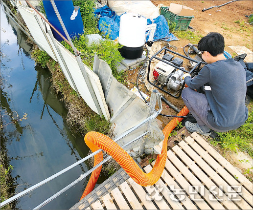대장동의 한 농가가 부족한 지하수를 대신해 농수로 물을 사용하려고 양수기를 설치하고 있다.