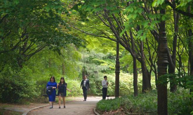 시민들이 서울의 한 숲속 산책로를 거닐고 있는 모습. 서울시 제공