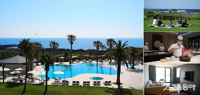 ①해비치 리조트 제주의 야외수영장. 사계절 온수풀로 카바나와 선베드를 해변쪽에 배치해 인피니티 풀과 같은 느낌을 주고 있다. 
②해비치 제주는 ‘선라이즈 런’,  ‘바이크 라이딩’,  ‘포레스트 트레킹’ 등의 자체 웰니스 프로그램을 운영하고 있다. ③새로 
오픈한 일식 레스토랑 ’메르&테르’ 중 정통 일본 간사이식 스키야키를 오마카세 스타일로 서비스하는 ’테르’. ④해비지 
리조트 제주는 스위트형 객실로 모두 거실과 침실을 분리했다. 기본 객실의 넓이가 호텔 스위트룸 크기에 맞먹는 63m²로, 더욱 
넓은 공간감을 느낄 수 있다. 제주｜김재범 기자 oldfield@donga,com